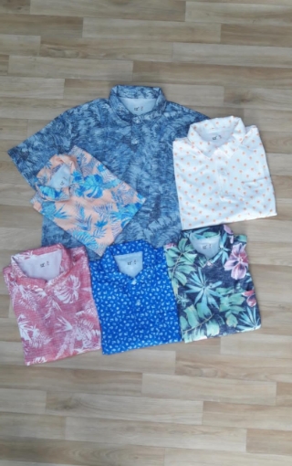Picture of Summer Shirts